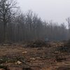В Киевской области запретили посещать леса 