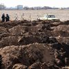 В Мариуполе людей хоронят в братских могилах