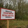 В Чернобыльской зоне горят более 10 тысяч гектаров леса - омбудсмен