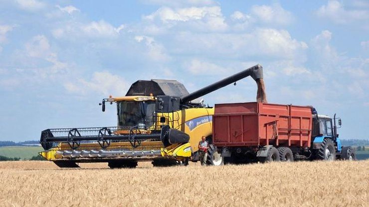 В Украине собрали 84 млн тонн зерна