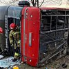 Автобус с беженцами из Украины попал в аварию в Польше