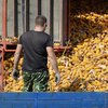 Украина остановила экспорт продовольствия