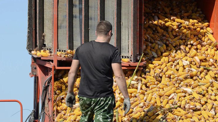 Из Украины запретили вывозить продовольствие