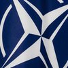 Молдова не будет добиваться членства в НАТО 