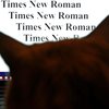 Власник шрифтів Times New Roman і Arial заблокував доступ до них у росії