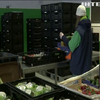 Волонтери німецьких банків їжі просять співгромадян про допомогу