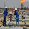 Захід шукає альтернативних постачальників енергоресурсів: згадали про Іран та Венесуелу