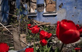 На Чернігівщині окупанти обстріляли два села на кордоні