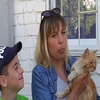 Змучений, але нескорений: у Миколаєві врятували кота