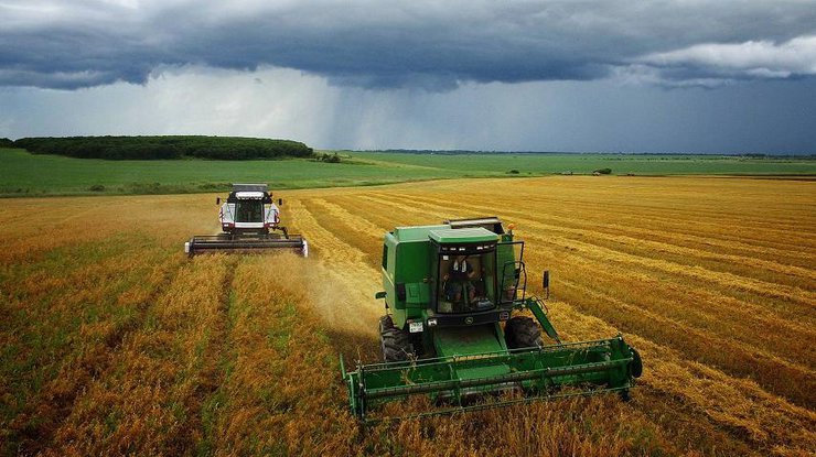 У світі починається продовольча криза без українського зерна