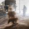 "Мета - Голодомор": на Луганщині окупанти знищили елеватор на 30 тис. тонн зерна