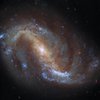 Хаббл сфотографував галактику в сузір'ї Журавля