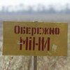 Як українці можуть допомогти у розмінуванні територій