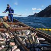 Росія заборонила Японії виловлювати рибу поблизу Курил