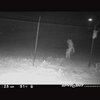 Камери спостереження техаського зоопарку зняли моторошну невідому істоту (фото)