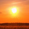 Літнє сонцестояння 2022: що можна і не можна робити у цей день