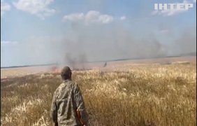 Рашисти випалюють засіяні поля на Херсонщині