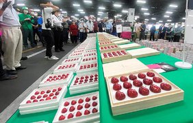 В Японії на аукціоні 15 черешень продали за $4440 (відео)