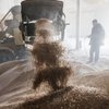 путін назвав п'ять способів вивезення зерна з України