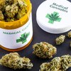 Кабмін схвалив легалізацію медичної марихуани
