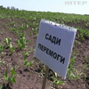 На Черкащині запровадили програму "Сади перемоги": вирощують овочі та фрукти для себе та інших регіонів