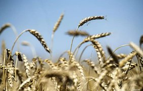 У Туреччині відбудуться нові переговори щодо "зернового коридору" з України