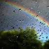 Накриють дощі з грозами: прогноз погоди в Україні на 21 липня