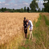 Європу охопила екстремальна спека: як високі температури впливають на врожай
