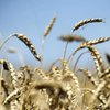 Угода про експорт зерна повністю відповідає інтересам України - Зеленський
