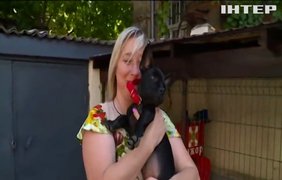 Двомісячний пес Мажор став талісманом пожежної частини в Одесі