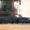 Україна припинить експорт зерна: названо умову 
