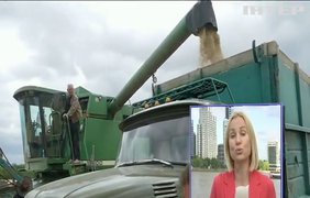 Біля порту Карасу затримали тонни краденого українського зерна