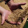 Україна відновила експорт за "зерновою угодою": подробиці