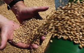 Україна відновила експорт за "зерновою угодою": подробиці