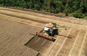 США виділяють $68 млн на закупівлю української пшениці