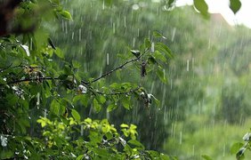 Дощі, грози, пориви вітру та пожежна небезпека: прогноз погоди на 3 серпня