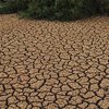 Найсильніша за 500 років: кліматологи попередили про страшну посуху в Європі