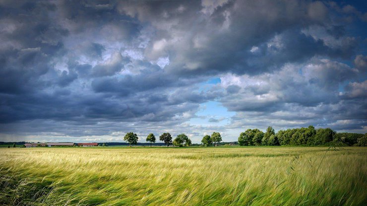 Фото: Pixabay