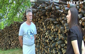 Українці масово запасаються дровами: на Буковині попит зріс в рази