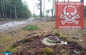У лісах біля кордону з Білоруссю просять бути обережними
