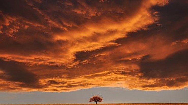 Фото: Pixabay