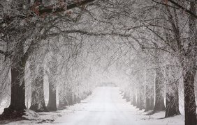 Синоптики дали новий прогноз на зиму
