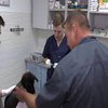 Учасник АТО відкрив ветеринарну клініку у Львові