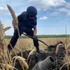 На Харківщині на російських мінах за добу підірвались 6 людей