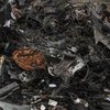 ЗСУ знищили 240 окупантів та ворожий літак: названо нові втрати росії