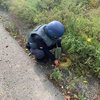 На Харківщині двоє грибників підірвалися на міні