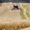 Білорусь на півроку заборонила вивезення зерна