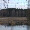 Селяни з Волинської області облаштовують укриття в лісі