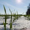 До України йде потепління: прогноз погоди