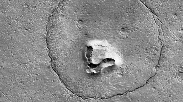 Голова "ведмедя" на Марсі